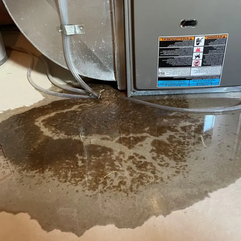 Pipe Burst and Leak Restoration in Grady County, OK